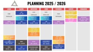 planning jjb mma bordeaux